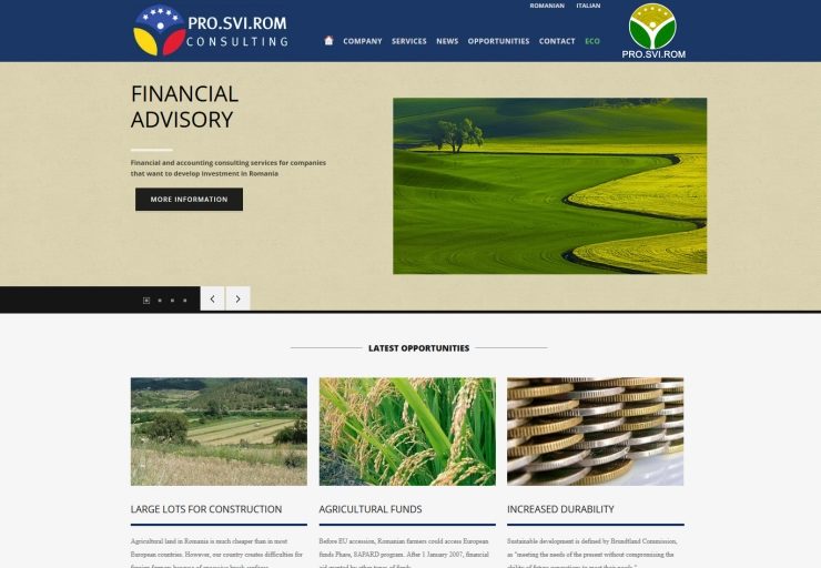 Optimizare site servicii consultanta